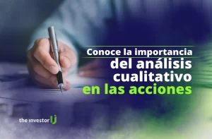 análisis cualitativo