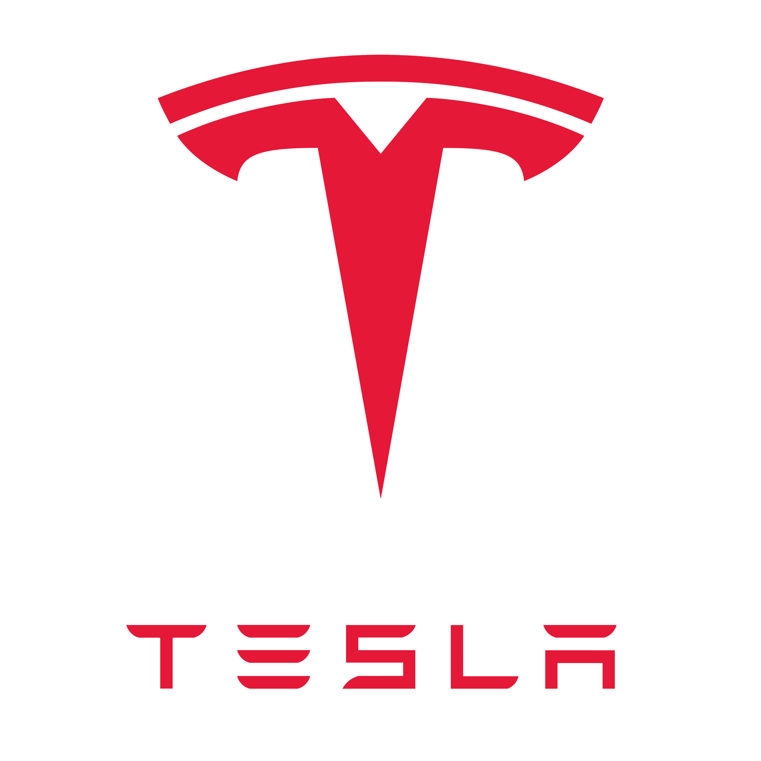 Logo: Acciones de Tesla