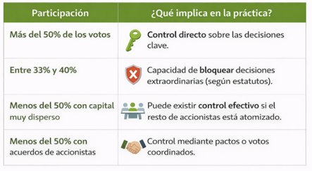 accionista mayoritario